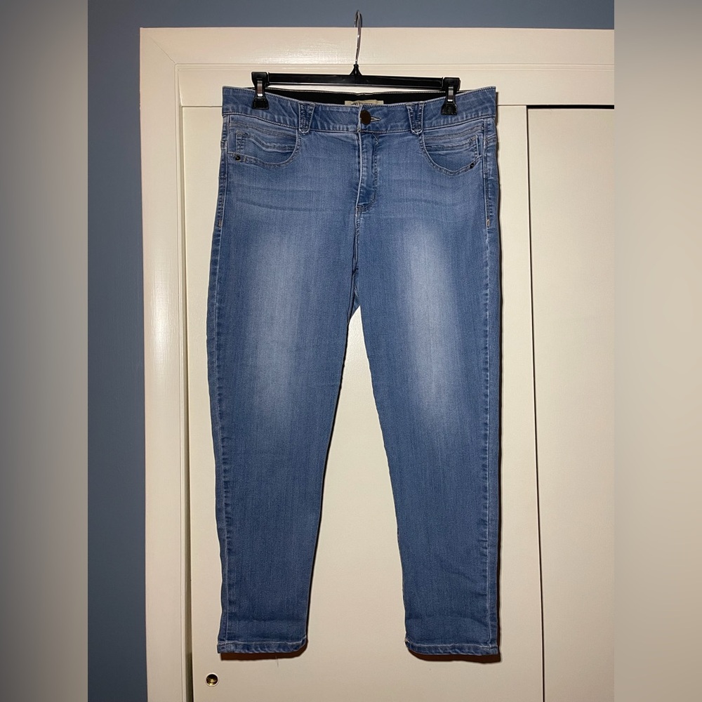 Ab Solution Blue Women's Jeans Ankle Skinny size 16